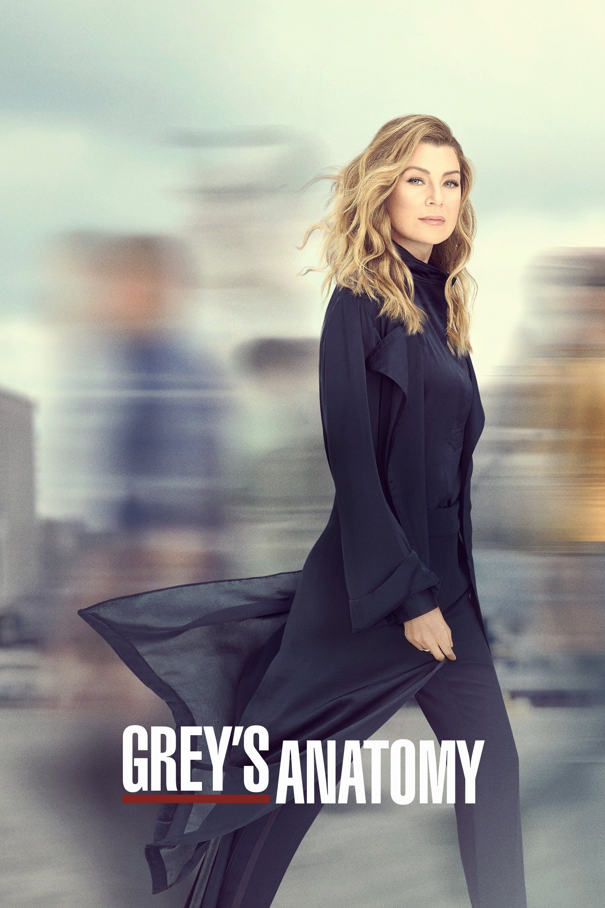 Grey's Anatomy - Season 16 [14088] (A1763987422) [[Shows]] --Plex--